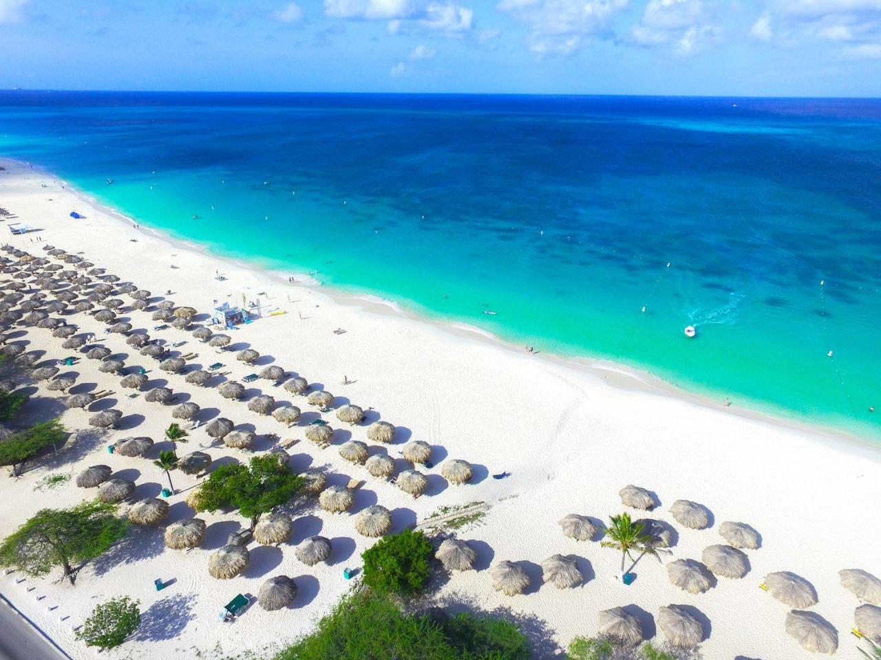 Casa Alessandra 1Bdr Palm Beach Dış mekan fotoğraf
